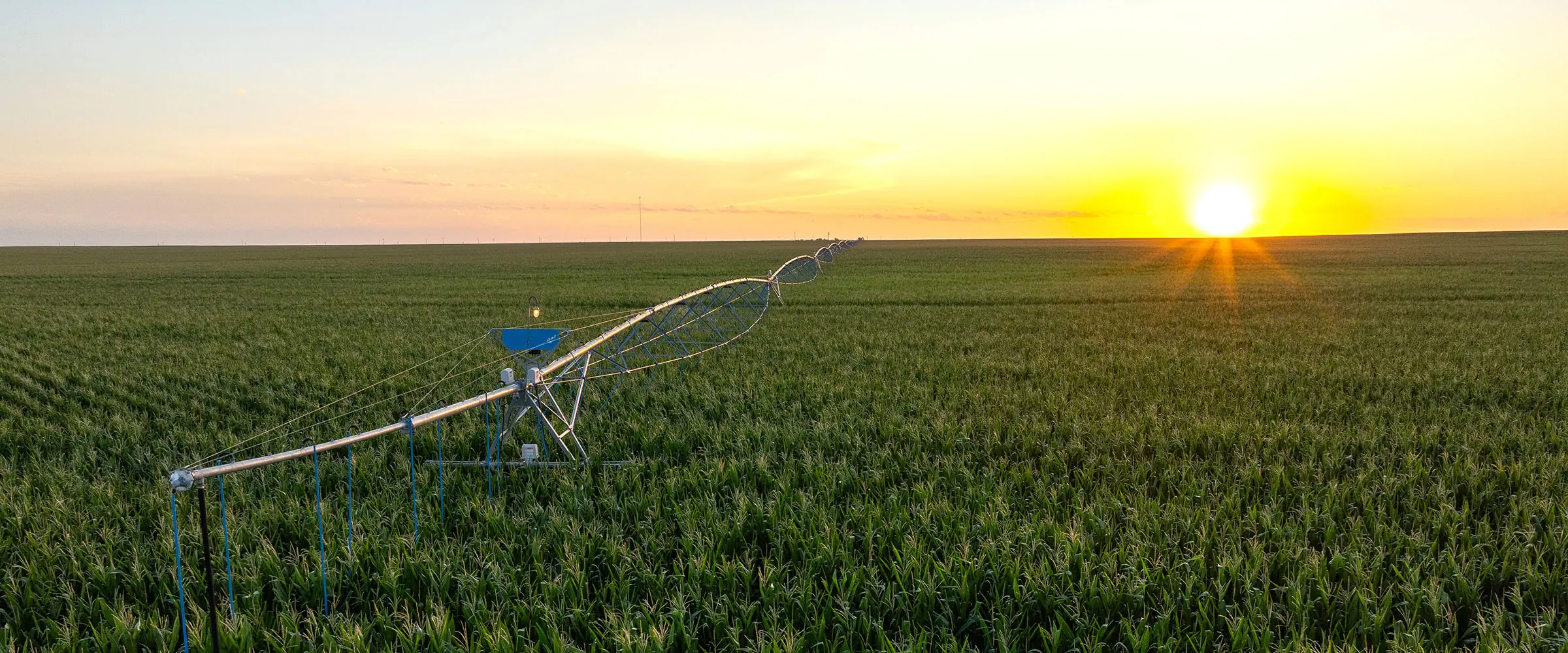 Farmland